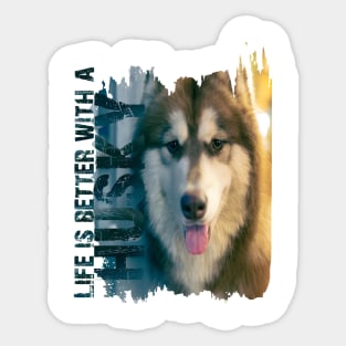 Siberian husky Sticker